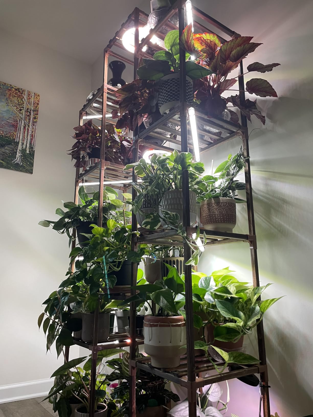 SDOVUERC 16'' 4 Bars Grow Light Strips for Indoor Shelves Plants Growing. customer photo 1