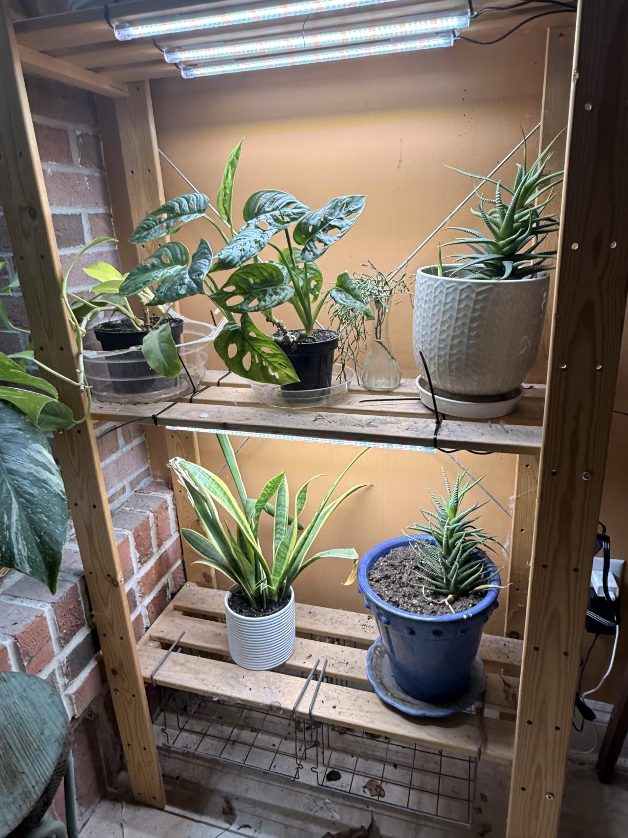 SDOVUERC 16'' 4 Bars Grow Light Strips for Indoor Shelves Plants Growing. customer photo 2