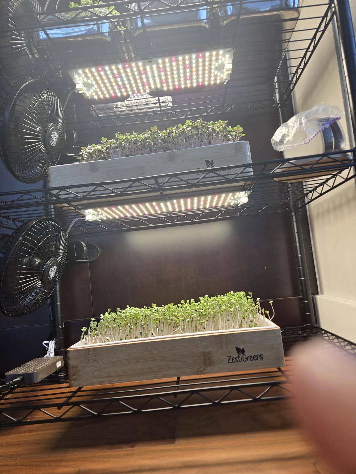 FECiDA High Output Flat Panel Grow Lights for Indoor Plants & Shelves customer photo 1