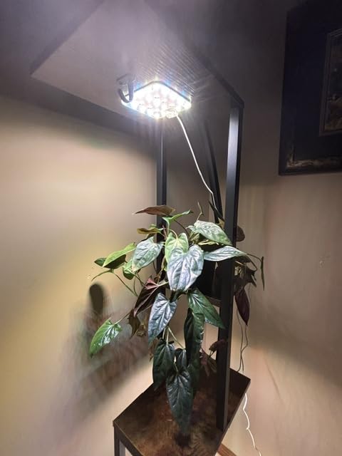 Under Shelf Grow Light, Auto Timer, Dimmable, Daylight White, 1-Pack customer photo 1