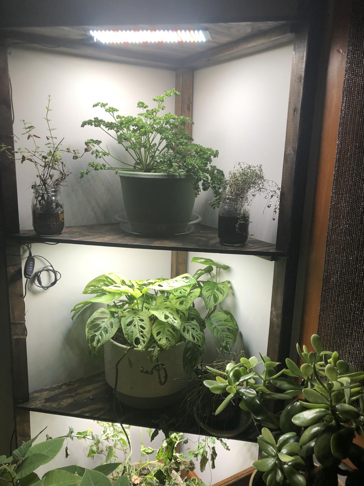 LBW Plant Grow Light, 540 LEDs Full Spectrum Plant Lights for Indoor Growing, Under Cabinet Grow Lamp with 4/8/12H Timer, 3 Lighting Modes, 10 Dimmable Levels, 4 Pack customer photo 2