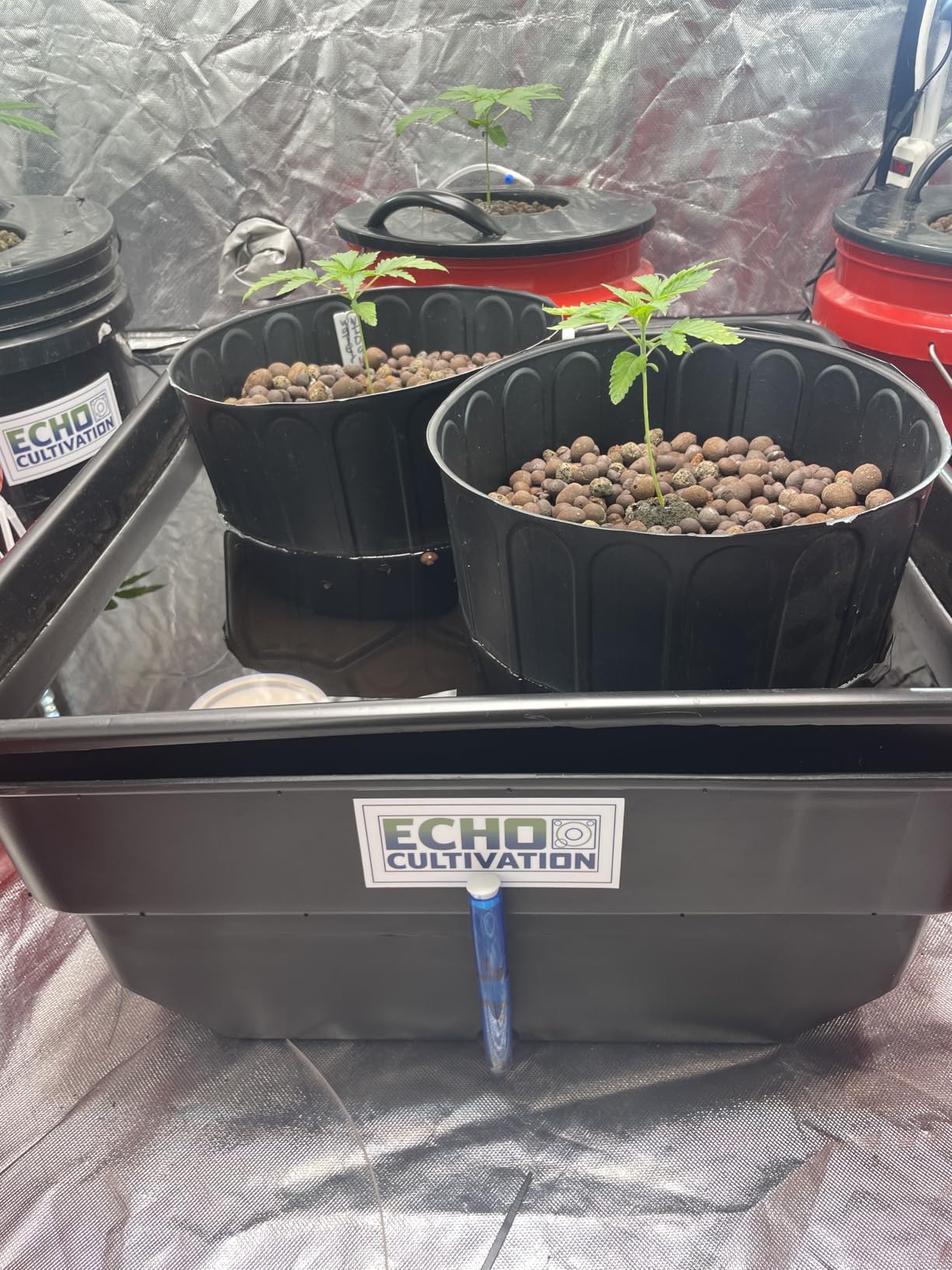 Hydroponic Flood Table Grow System (Ebb and. Flow) Perfect for 2 x 2 Tents customer photo 1