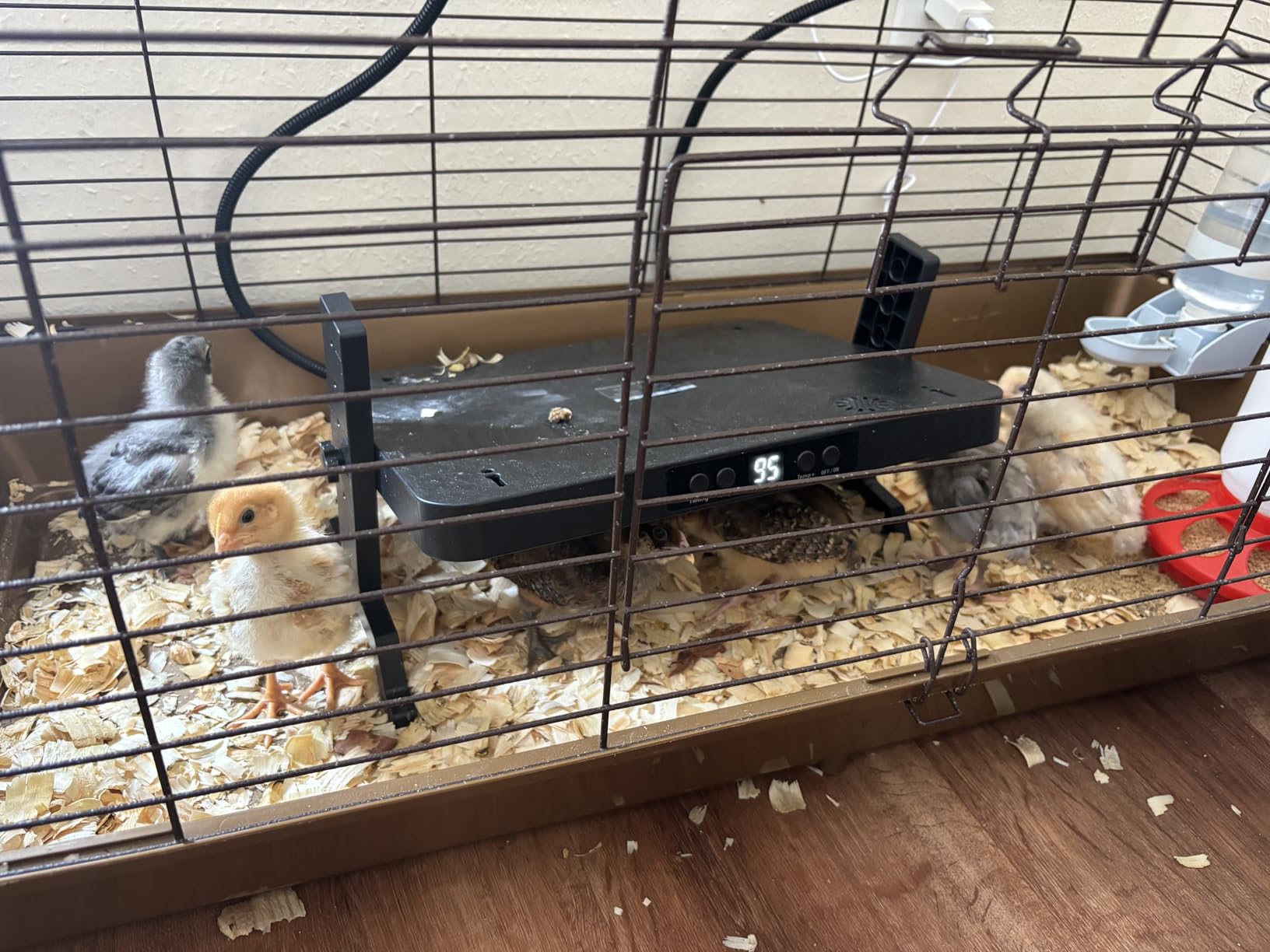 Smart Chicken Coop Heater, 200W Radiant Heat Panel, Adjustable Temp & Timer customer photo 1