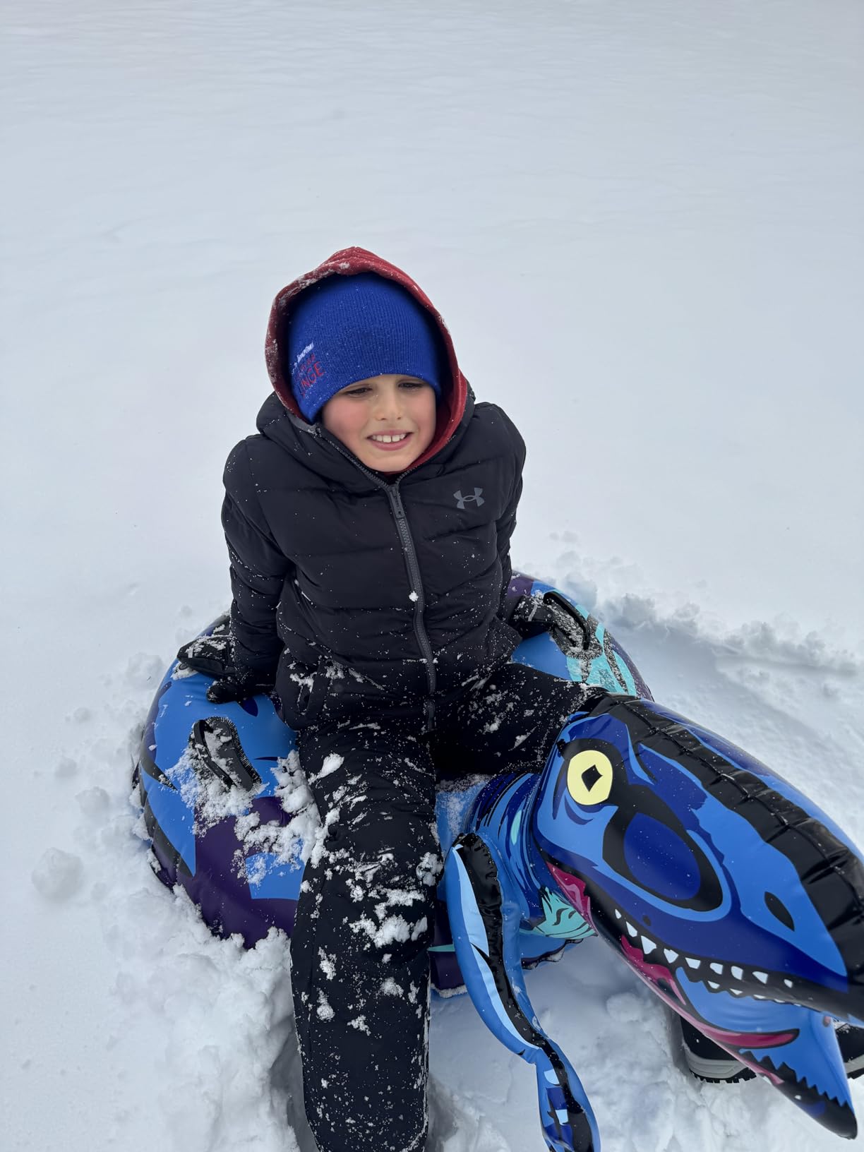 Dinosaur Snow Tube, Inflatable Snow Sled Snow Tube for Kids & Adults customer photo 2