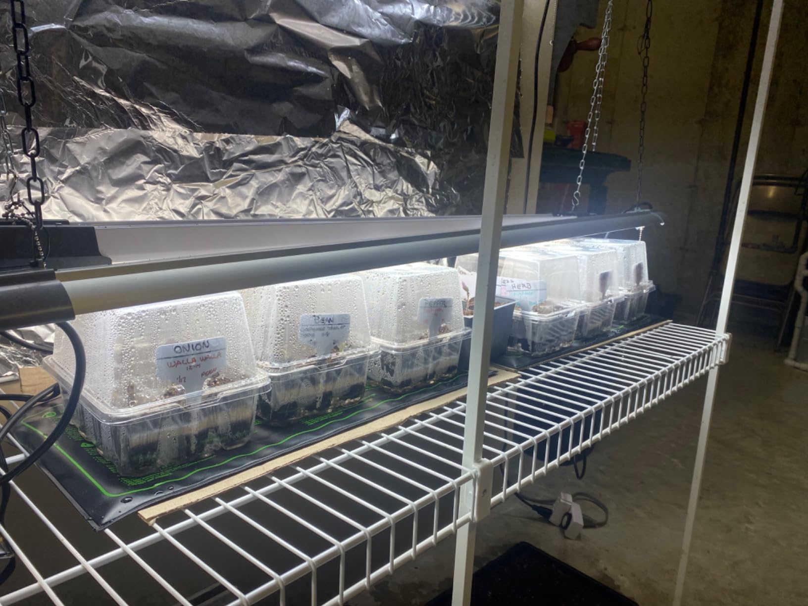 Bonviee 5-Pack Seed Starter Trays, Humidity Dome, Base, 12-Cell Tray, Clear customer photo 1