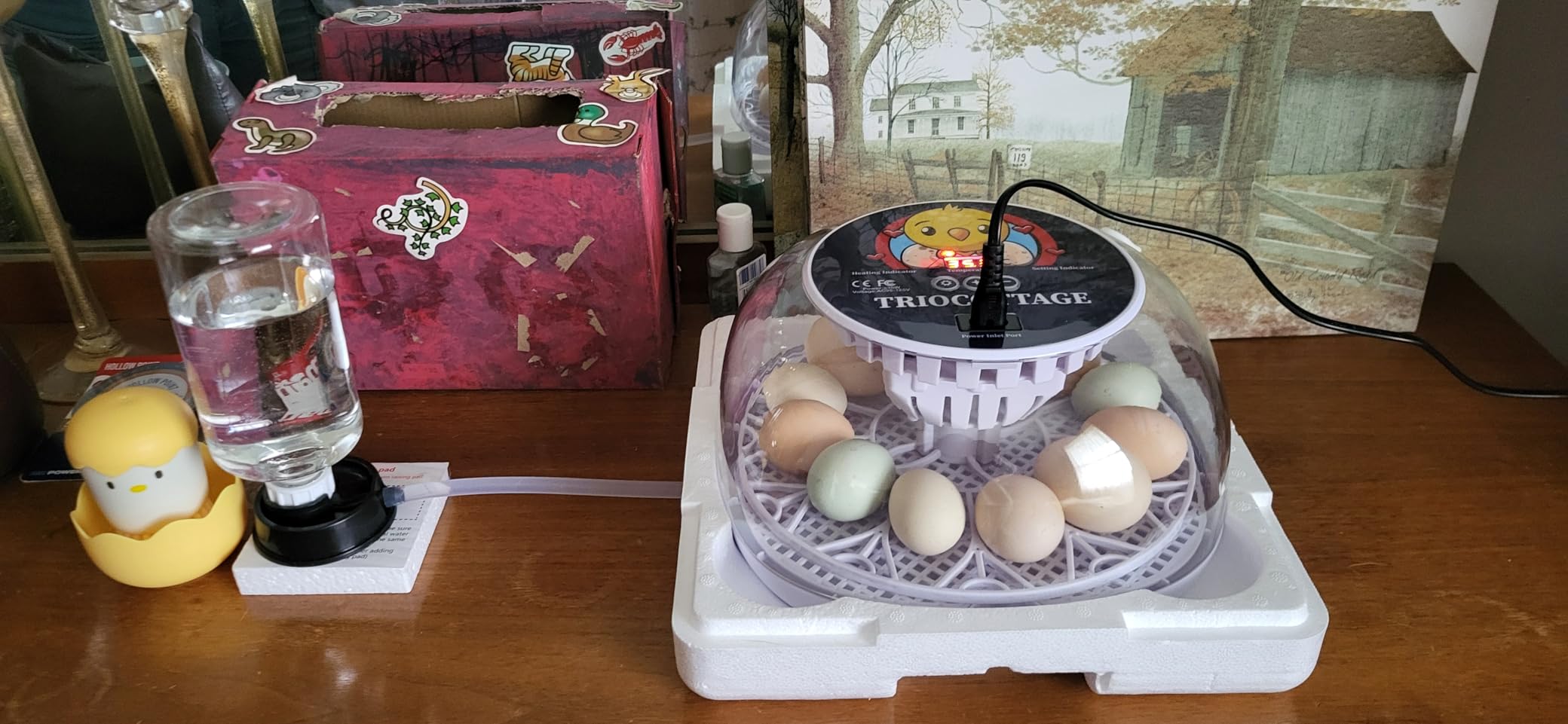 Chick Brooder Heater Plate with Digital Temperature Control, Chicken Coop Heater for Chicks & Ducklings, LED Display, Remote Control, Adjustable Angle, 86°F–167°F Heating Plate customer photo 1