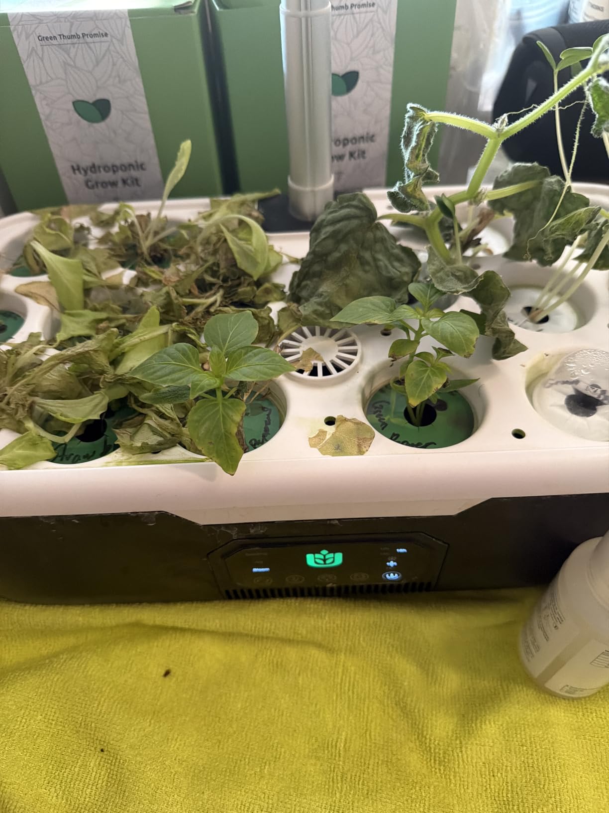 Misting Hydroponic Growing System Kit 15-Pods Indoor Smart Herb Garden Planter with LCD Touch Panel 6L Large Tank for Herb/Vegetables/Flowers/Fruits,Gardening Gifts for Women Men Beginners-Black customer photo 1