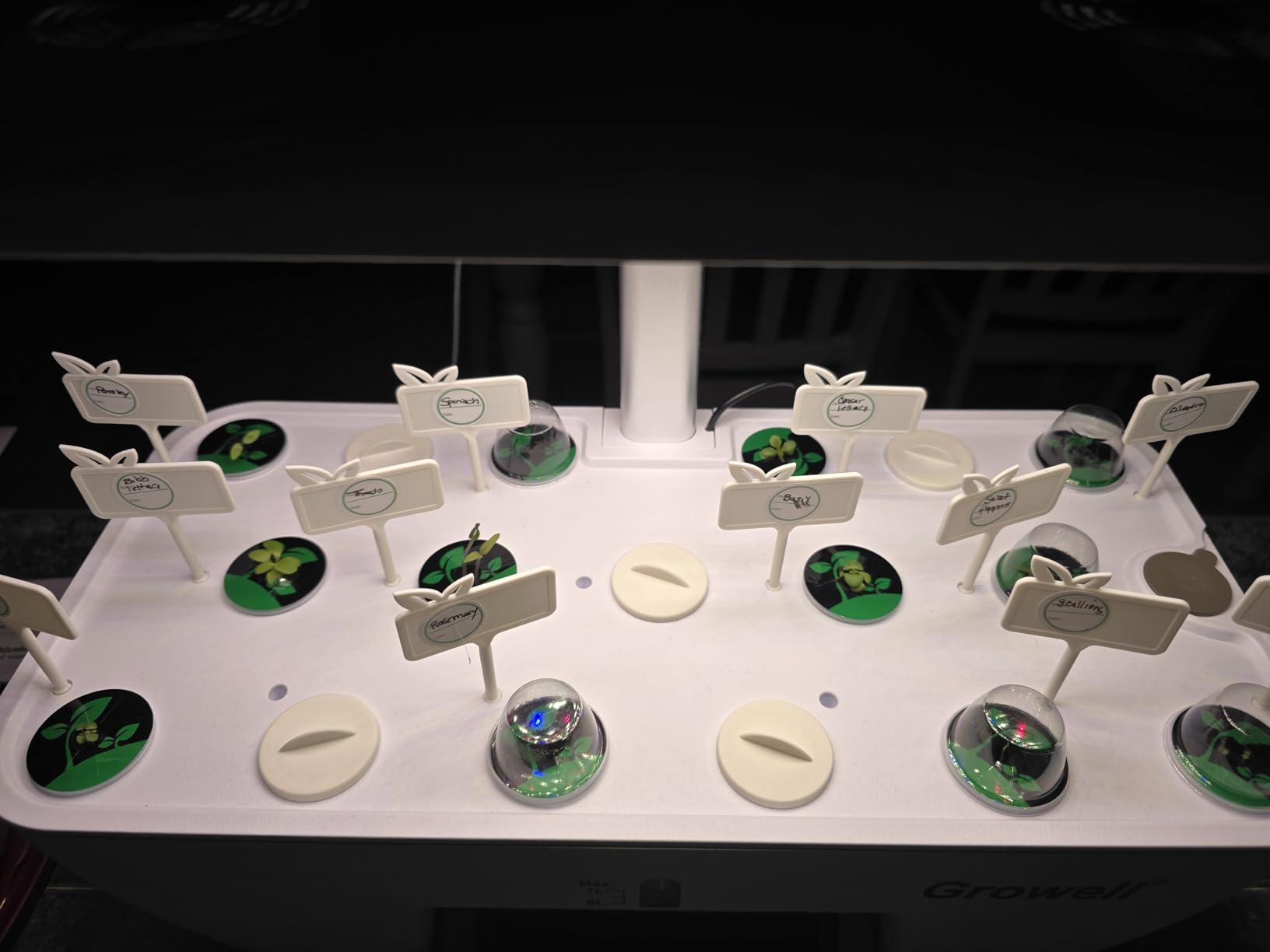 Growell 17 Pods Hydroponics Growing System Kit, Indoor Garden with 2 Fans customer photo 2