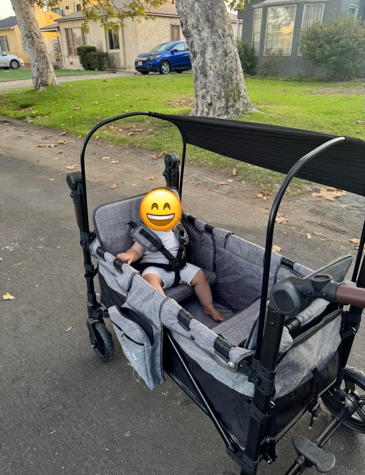 4 Seater Wagon Stroller, All-Terrain Aluminum Stroller Wagon for 4 Kids customer photo 2