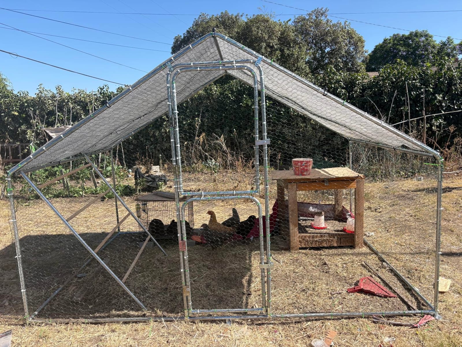 UDPATIO Large Metal Chicken Coop Walk in– Heavy Duty Outdoor Poultry Run with Protective Cover for 15-25 Chickens, Ducks, or Rabbits | Predator-Proof & Weather-Resistant customer photo 1
