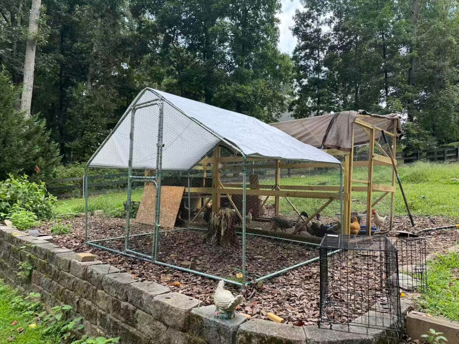 UDPATIO Large Metal Chicken Coop Walk in– Heavy Duty Outdoor Poultry Run with Protective Cover for 15-25 Chickens, Ducks, or Rabbits | Predator-Proof & Weather-Resistant customer photo 2