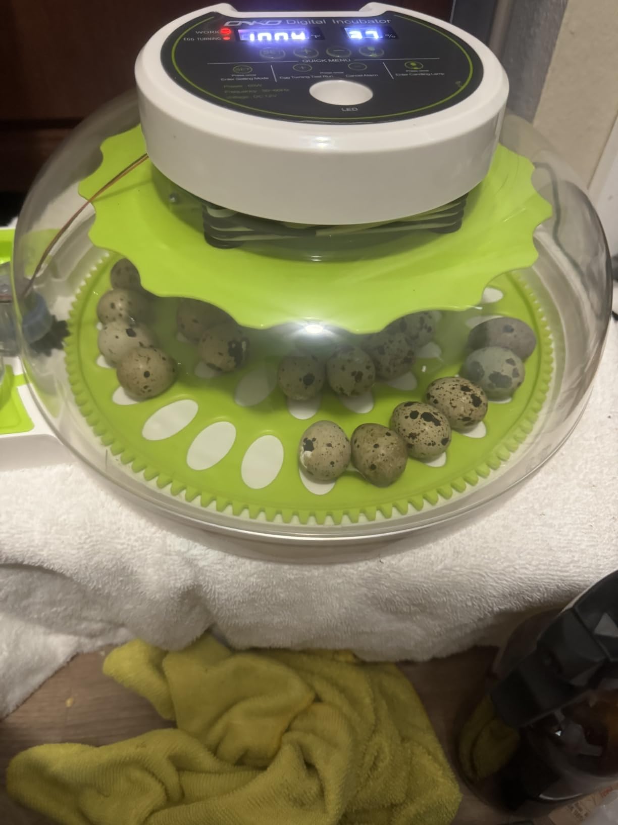 40 Quail Egg Incubator with Automatic Egg Turning Humidity Control Eggs customer photo 1