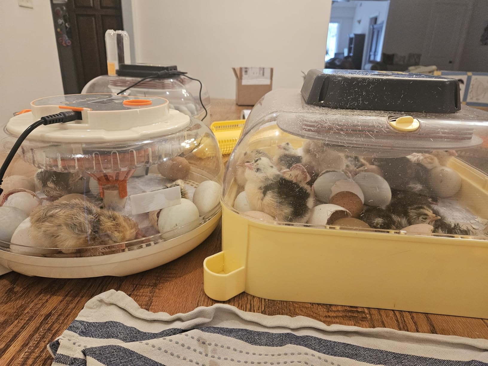 Sailnovo 12 Egg Incubators for Hatching Egg with Auto Humidification customer photo 2