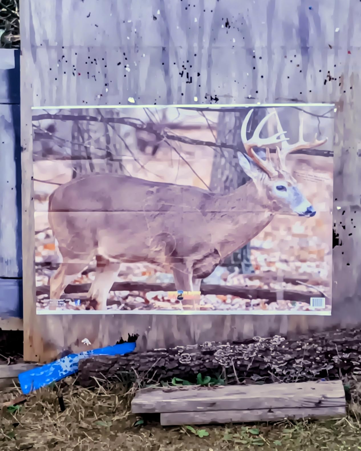 Deer Archery Target - Variety of Broadside & Quartering Target, 28