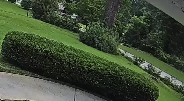 Sun Joe SPX100-GO Electric Pressure Washer, 13-Amp, 4 Nozzles, Foam Cannon customer photo 1