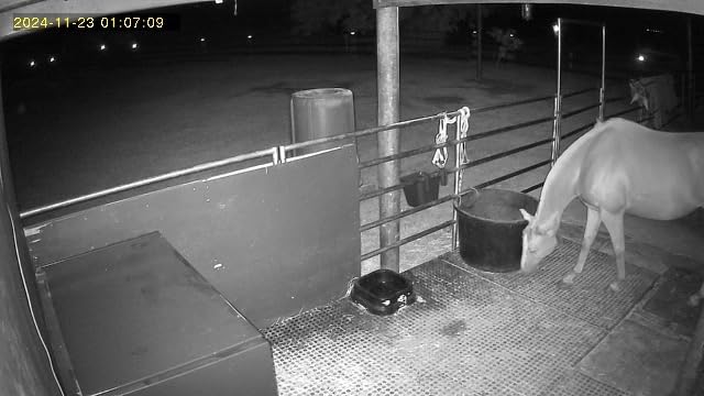 4G LTE Cellular Trail Cameras, 2.5K 360° Live Always-On-Video Recording customer photo 1