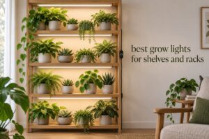best grow lights for shelves and racks