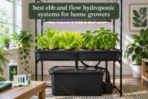 best ebb and flow hydroponic systems for home growers