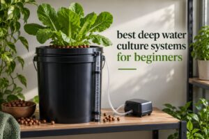 best deep water culture systems for beginners
