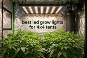 best led grow lights for 4x4 tents