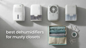 best dehumidifiers for musty closets